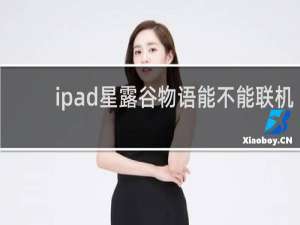 ipad星露谷物语能不能联机