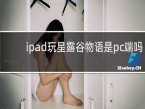 ipad玩星露谷物语是pc端吗