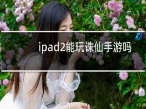 ipad2能玩诛仙手游吗