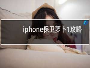 iphone保卫萝卜1攻略