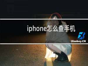 iphone怎么查手机型号
