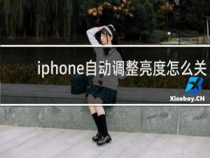 iphone自动调整亮度怎么关