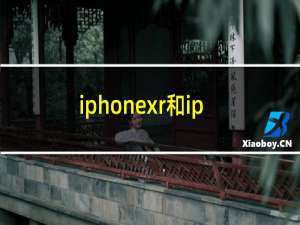 iphonexr和iphone11哪个更值得入手