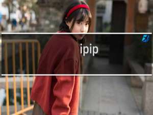 ipip 试用版离线数据库