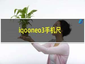 iqooneo3手机尺寸