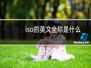 iso的英文全称是什么