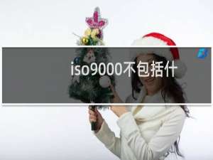 iso9000不包括什么要求