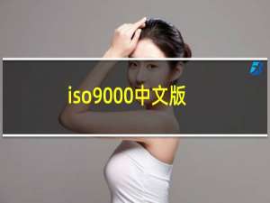iso9000中文版