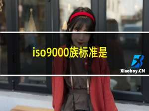 iso9000族标准是哪几个标准?