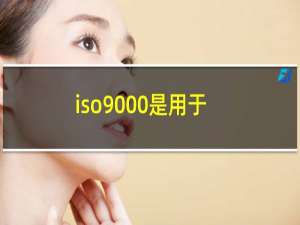 iso9000是用于