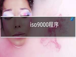 iso9000程序