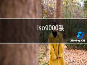 iso9000系