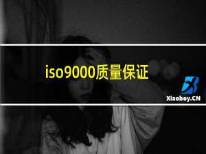 iso9000质量保证体系