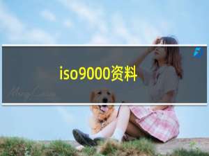 iso9000资料