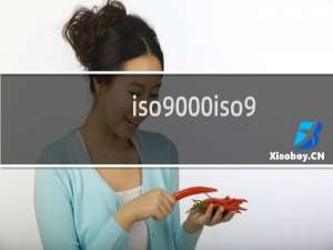 iso9000iso9001 iso9004