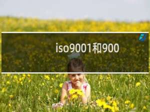 iso9001和9002