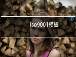 iso9001模板