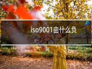 iso9001由什么负责制定和修订