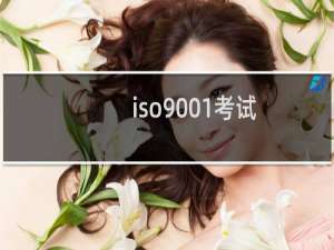 iso9001考试