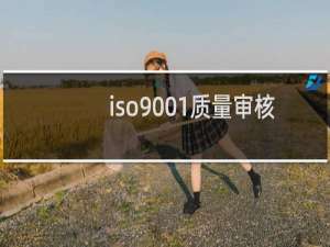 iso9001质量审核员