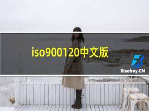 iso9001 中文版完整