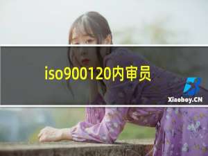 iso9001 内审员