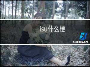 isu什么梗