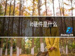 it硬件是什么