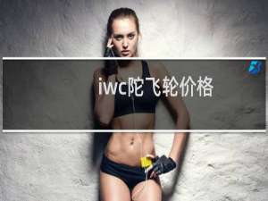 iwc陀飞轮价格
