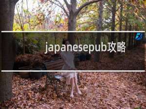 japanesepub攻略
