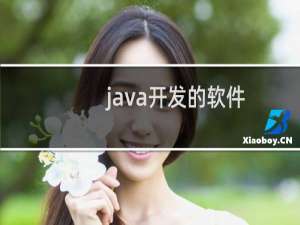 java开发的软件