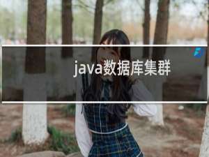 java数据库集群