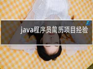 java程序员简历项目经验