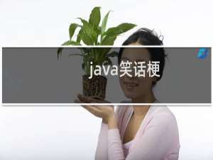 java笑话梗