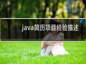 java简历项目经验描述