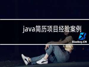 java简历项目经验案例
