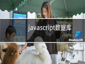 javascript数据库