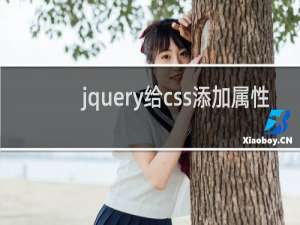 jquery给css添加属性