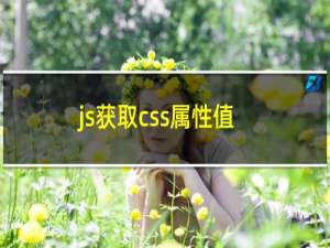 js获取css属性值