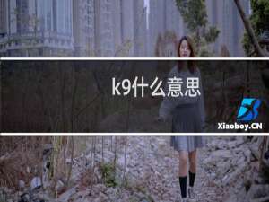 k9什么意思