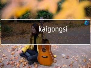 kaigongsi.wang  要发邮件，他们说要解析什么二