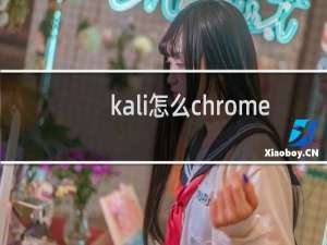 kali怎么chrome
