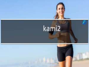 kami2 111关攻略