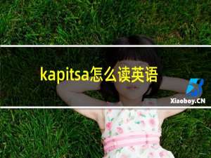 kapitsa怎么读英语