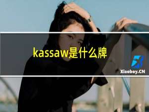 kassaw是什么牌子表（kassaw是什么牌子手表）