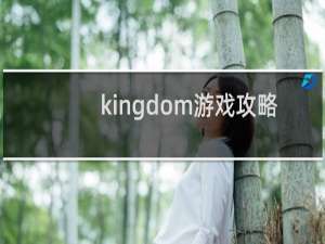 kingdom游戏攻略