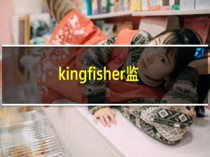 kingfisher监控