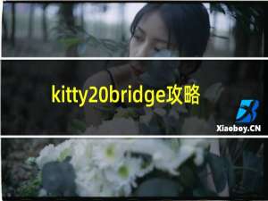 kitty bridge攻略