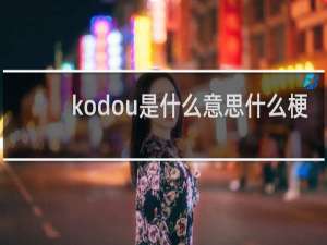 kodou是什么意思什么梗