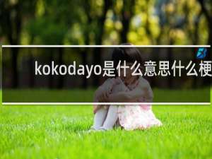 kokodayo是什么意思什么梗
